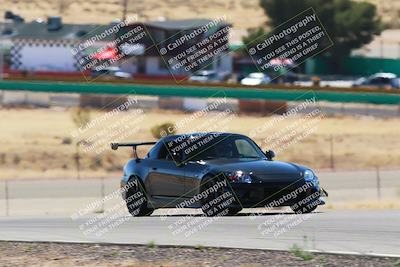 media/Mar-08-2025-Extreme Speed (Sat) [[4abb97269e]]/Blue/Turns 2  and  4 (Session 2)/